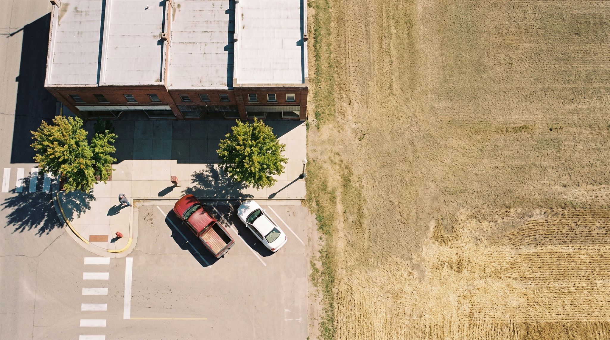 Looking straight down on a small-town main street: a row of brick storefronts with pale roofs, two maples on the sidewalk, a red pickup and a white sedan parked in front, and a harvested wheat field where the town ends.